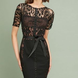 Anthropologists Beguile by Byron Lars Dress